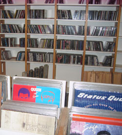 Et pluk af det musikalske udvalg af vinyl og cd'er
